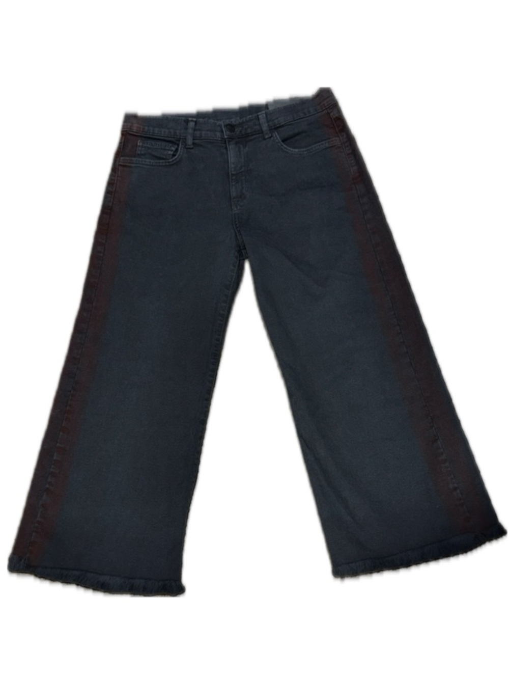 👖🧊 SIWY LOS‎ ANGELES Wide Leg Crop Jeans Black Raw Hem Red Edges Women’s Sz 29